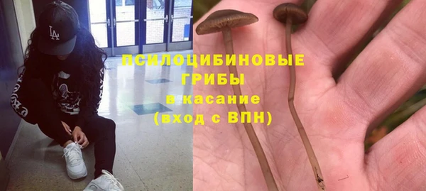 мескалин Армянск