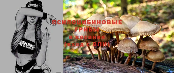 мескалин Армянск